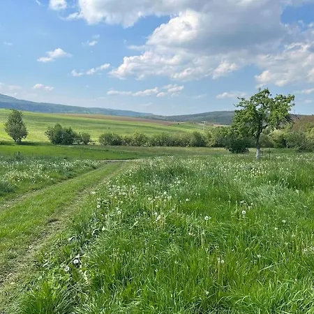 4 Sterne Fewo Rhoenland-Erlebnis In Bernshausen - Auch Fuer Wanderreiter Exterior foto